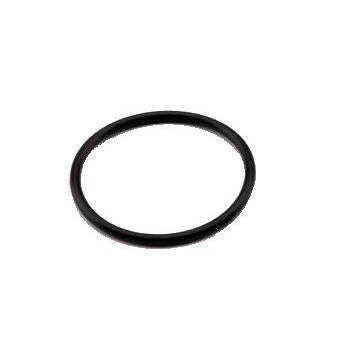 Gasket for Filter Housing, 1", 1 1/4", 1 1/2" - DCI 2303