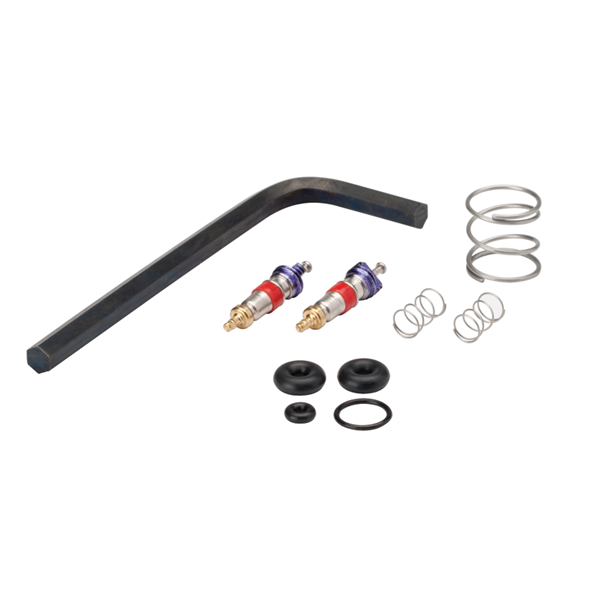 Syringe Repair Kit, Valve Core, Quick Clean - DCI 3076 - Avtec Dental