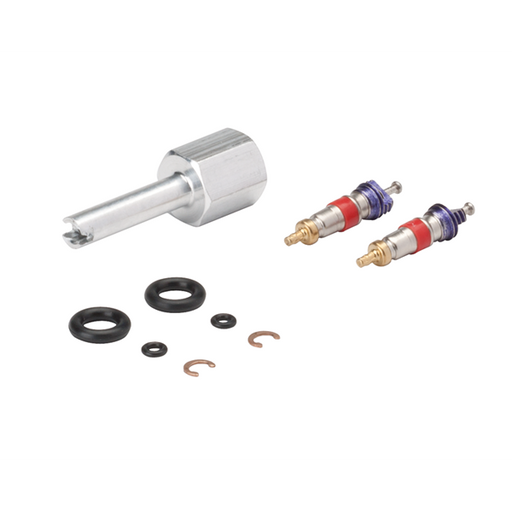 Syringe Repair Kit For Valve Core Syringe 3000 - DCI 3042 - Avtec Dental
