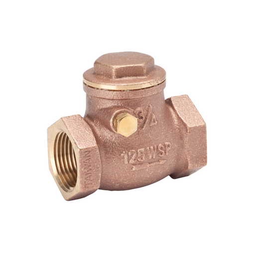 Brass Swing Check Valve, 3/4" - DCI 2676 - Avtec Dental