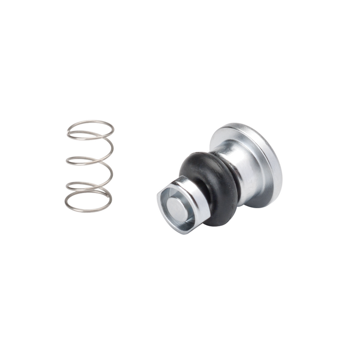 Syringe Button w/Spring, Valve Core, Pkg of 10 - DCI 3034 - Avtec Dental