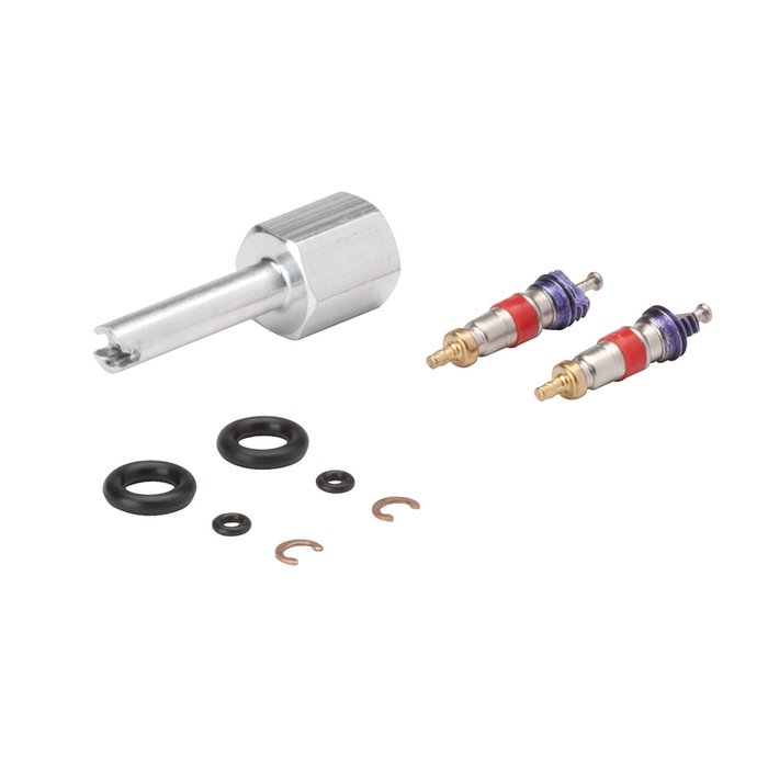 Syringe Repair Kit For Valve Core Syringe 3000 - DCI 3042