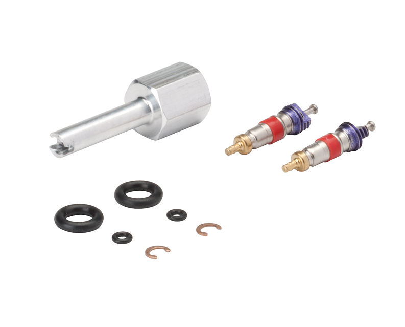 Syringe Repair Kit For Valve Core Syringe 3000 - DCI 3042