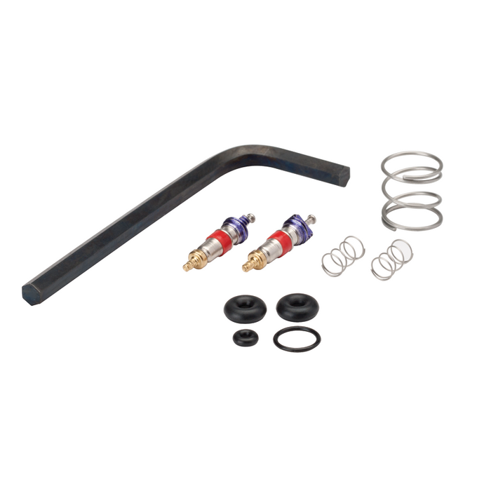 Syringe Repair Kit, Valve Core, Quick Clean - DCI 3076