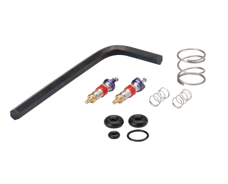 Syringe Repair Kit, Valve Core, Quick Clean - DCI 3076
