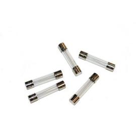 Fuse, Fast Acting, 1/2 Amp, 250 Volt - DCI 8838