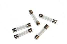 Fuse, Fast Acting, 10 Amp, 250 Volt - DCI 8850