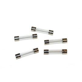 Fuse, Time Delay, Ceramic, 6 Amp, 250 Volt - DCI 8886 - Avtec Dental