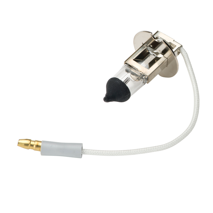 Belmont ECO Bulb w/Black Tip, 12 Volt, 55 Watt - DCI 9377 - Avtec Dental