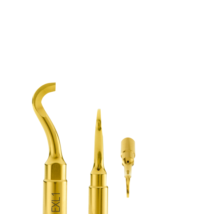 Third Molar Extraction Lever EXL1 - Avtec Dental