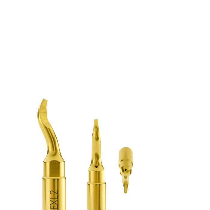 Third Molar Extraction Lever EXL2 - Avtec Dental