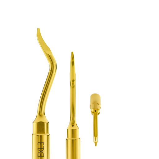 Straight Alveolar Debridement Lever EXL3 - Avtec Dental