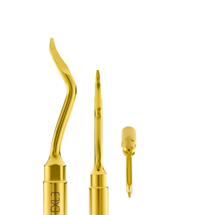 Straight Alveolar Debridement Lever EXL3 - Avtec Dental