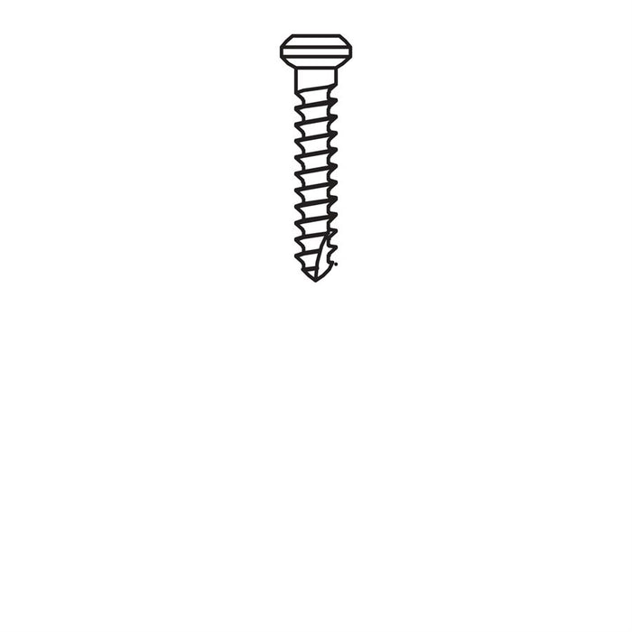Micro-Screw 1mm Ø, Length 6.0 - MSS10-060 - Avtec Dental