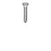 Micro-Screw 1mm Ø, Length 6.0 - MSS10-060 - Avtec Dental