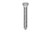 Micro-Screw 1mm Ø, Length 8.0 - MSS10-080 - Avtec Dental