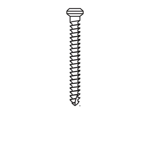 Micro-Screw 1mm Ø, Length 10.0 - MSS10-100 - Avtec Dental