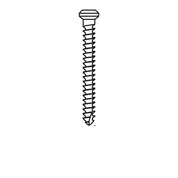 Micro-Screw 1mm Ø, Length 10.0 - MSS10-100 - Avtec Dental
