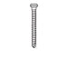 Micro-Screw 1mm Ø, Length 10.0 - MSS10-100 - Avtec Dental