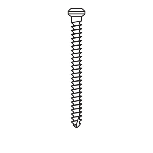 Micro-Screw 1mm Ø, Length 12.0 0 - MSS10-120 - Avtec Dental