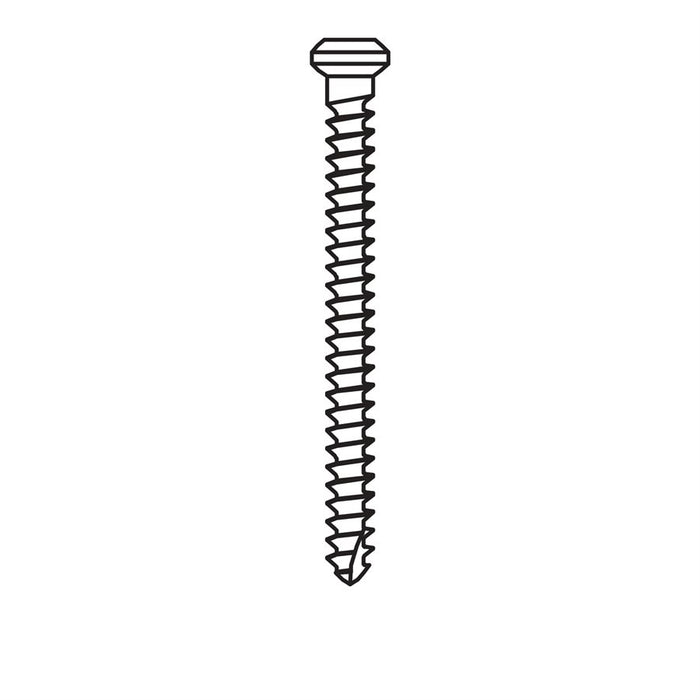 Micro-Screw 1mm Ø, Length 12.0 0 - MSS10-120 - Avtec Dental