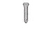 Micro-Screw 1.2mm Ø, Length 6.0 - MSS12-060 - Avtec Dental