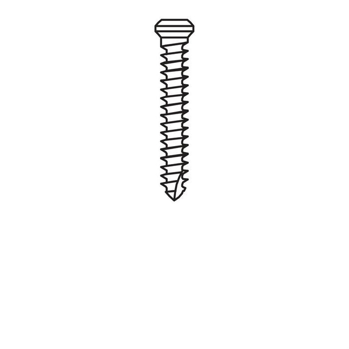 Micro-Screw 1.2mm Ø, Length 8.0 - MSS12-080 - Avtec Dental