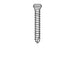 Micro-Screw 1.2mm Ø, Length 8.0 - MSS12-080 - Avtec Dental