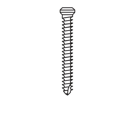 Micro-Screw 1.2mm Ø, Length 10.0 - MSS12-100 - Avtec Dental
