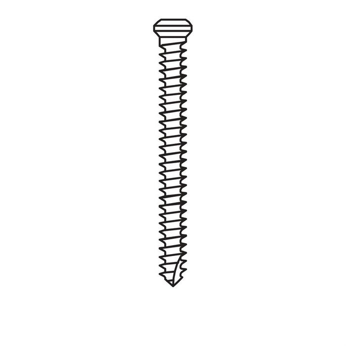 Micro-Screw 1.2mm Ø, Length 12.0 - MSS12-120 - Avtec Dental