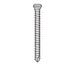 Micro-Screw 1.2mm Ø, Length 12.0 - MSS12-120 - Avtec Dental