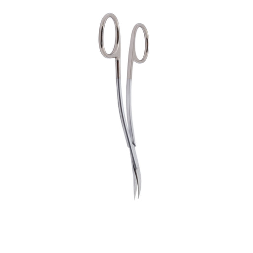 Surgery, Hand Instrument, Curved Scissors, 116mm Length - TL9 - Avtec Dental