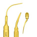 Inserts periodontal PP11 - Avtec Dental