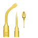Inserts osteotomy OT2 - Avtec Dental