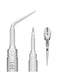 Inserts periodontal PP1 - Avtec Dental