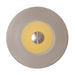 L26D ReGlaze Porcelain Polisher – High Shine - Avtec Dental