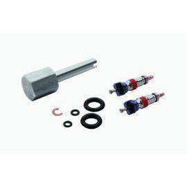 Syringe Repair Kit For Valve Core Syringe 3000 - DCI 3042 - Avtec Dental