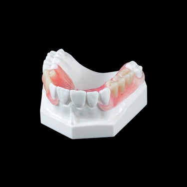 PB-4 Flexible Partial-Upper Arch - Avtec Dental