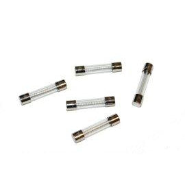 Fuse, Time Delay, Ceramic, 12 Amp, 250 Volt - DCI 8833 - Avtec Dental