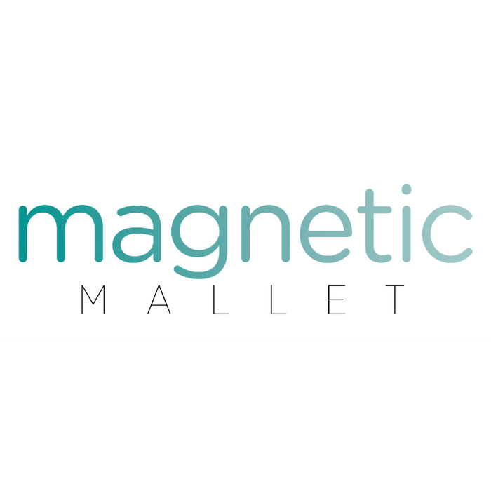 Magetic Mallet Starter Instrument Kit (10 Piece) - Avtec Dental
