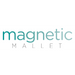 Magetic Mallet Starter Instrument Kit (10 Piece) - Avtec Dental