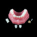 PBK101 KIT - Avtec Dental