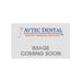 Replacement Cartridge for NSK X25 Handpiece - Avtec Dental