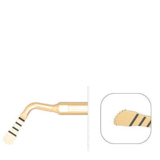 Saeshin Traus Rounded Micro Saw Insert SP-SAW RD - Avtec Dental