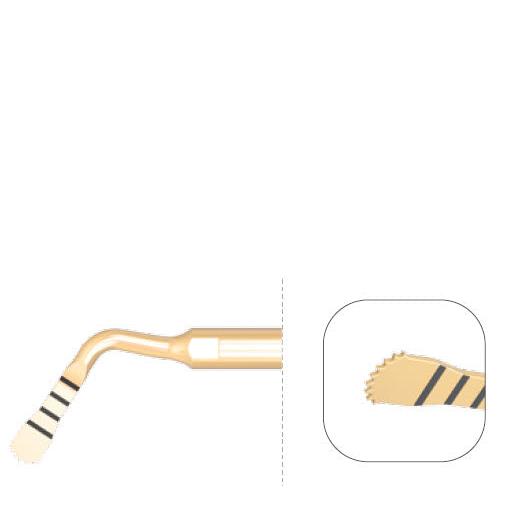 Saeshin Traus Rounded Micro Saw Insert SP-SAW RD - Avtec Dental