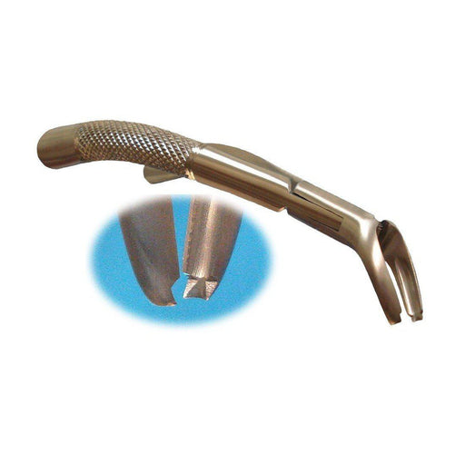 TempOff® - Temporary Crown Remover - Avtec Dental